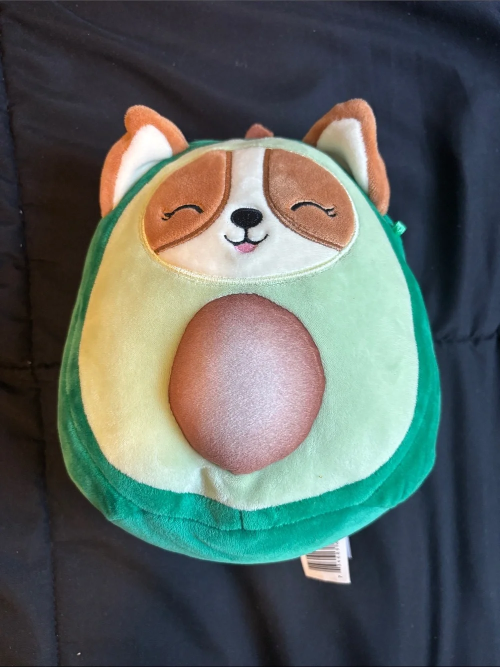 Squishmallow Plush Frog, Raccoon & Avocado dog